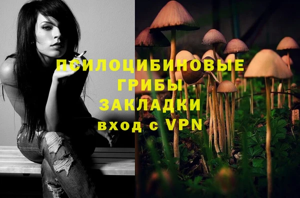 гашиш Карпинск