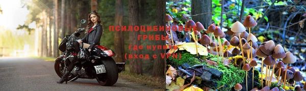 гашиш Карпинск